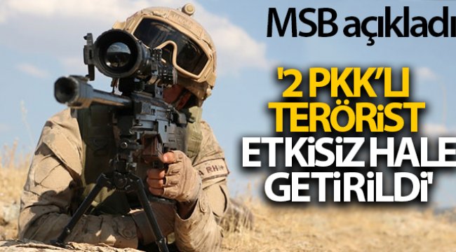 MSB: '2 PKK'lı terörist etkisiz hale getirildi'