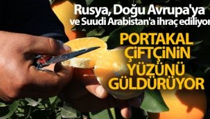 Adanada portakal hasad? sryor