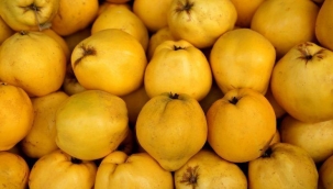 Ayvan?n daha önce hiç duymad???n?z faydalar?