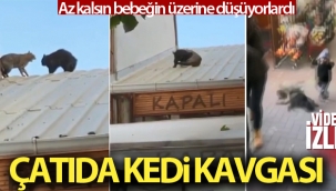 at?da kavga eden kediler bebe?in zerine d?yordu