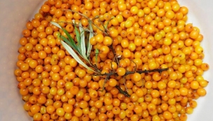 Do?adaki tek omega 7 kayna?? besin aç?kland?