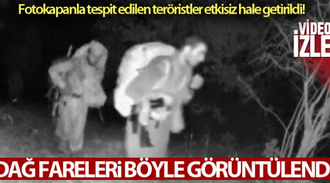 PKK'lı teröristler fotokapana böyle yakalandı