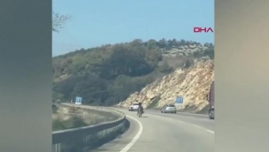 Sahipsiz at karayolunda dörtnala ko?tu
