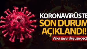 Türkiye'de son 24 saatte 228 ki?i hayat?n? kaybetti