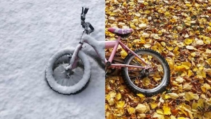 Van'da sonbahar ve k?? ayn? kadrajda - Resim 1