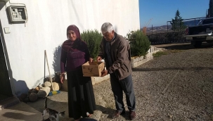 Yaral? kerkenez tedaviye al?nd?