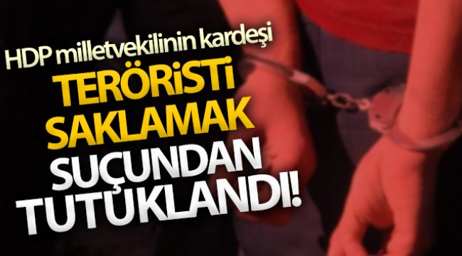 HDP milletvekilinin kardeşi teröristi saklamak suçundan tutuklandı