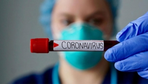 Gncel corona virs tablosu ve vaka say?s?