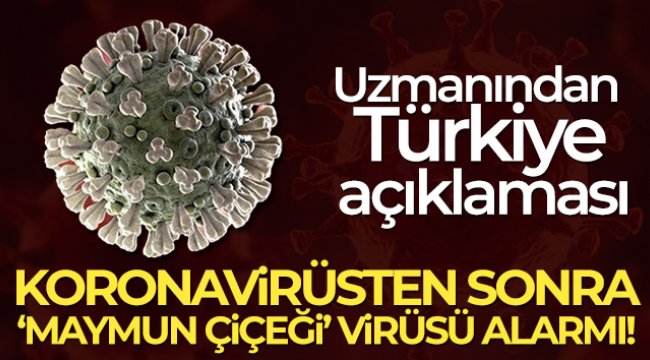 Prof. Dr. Oğuztürk'ten Maymun çiçeği virüsü açıklaması!