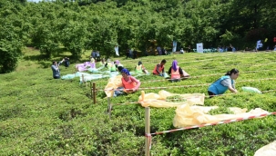 10 B?N OKUL PROJES? AY TOPLAMA ETK?NL???