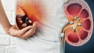 Bbreklerinizin en byk d?man?!