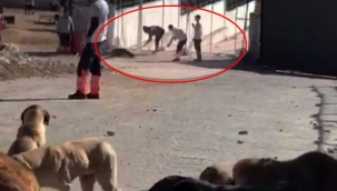 Konya'daki skandal grntlerin ard?ndan harekete geildi