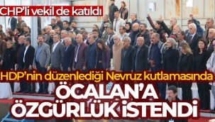 CHP'li vekilin kat?ld??? Nevruz kutlamas?nda calan'a zgrlk istendi