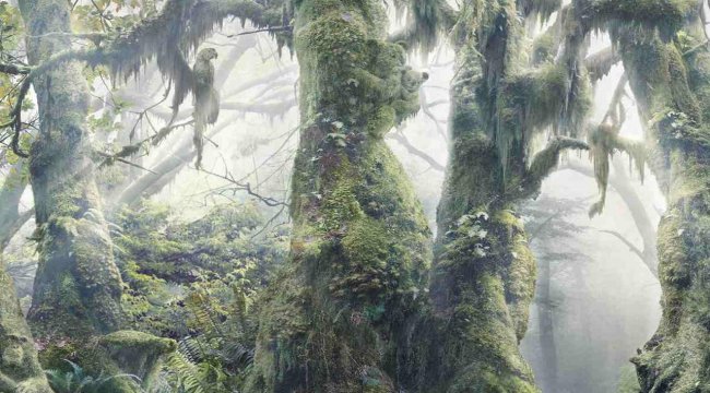 Sadece stn zekal?lar zebiliyor