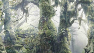 Sadece stn zekal?lar zebiliyor