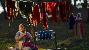 RENKLER?N? B?TK?LERDEN ALAN YN ?PLER, VAN OLGUNLA?MA ENST?TS TEZGHLARINDA K?L?ME DN?TRLYOR