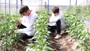 "SRDRLEB?L?R TARIM VE GIDA GVENL???" DERS?N?N MFREDATI HAZIRLANDI