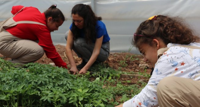 �ZEL �?RENC?LER SEBZE, MEYVE VE �?�EK YET??T?REREK BECER?LER?N? GEL??T?R?YOR